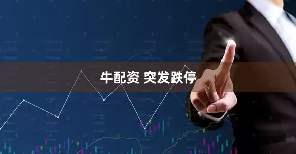 牛配资 突发跌停
