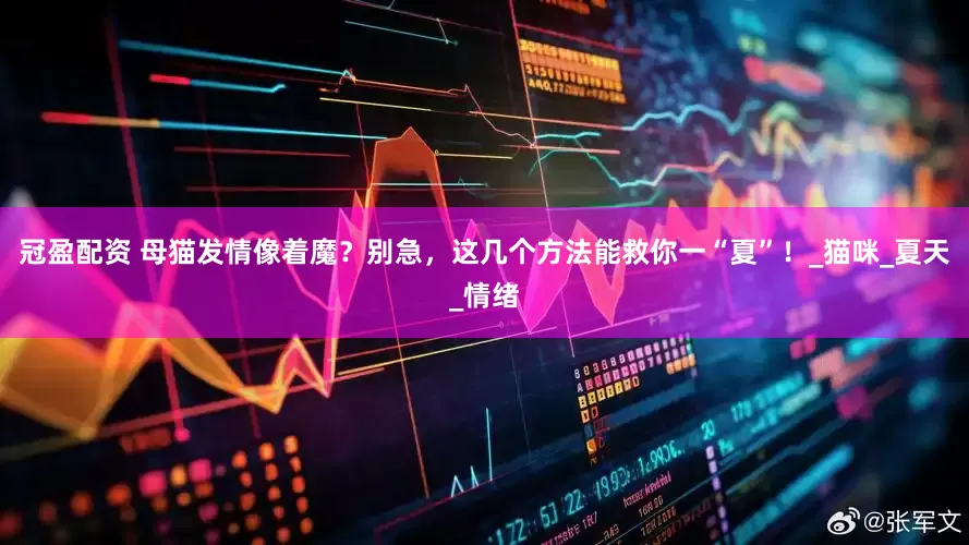 冠盈配资 母猫发情像着魔？别急，这几个方法能救你一“夏”！_猫咪_夏天_情绪