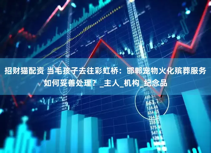 招财猫配资 当毛孩子去往彩虹桥：邯郸宠物火化殡葬服务如何妥善处理？_主人_机构_纪念品